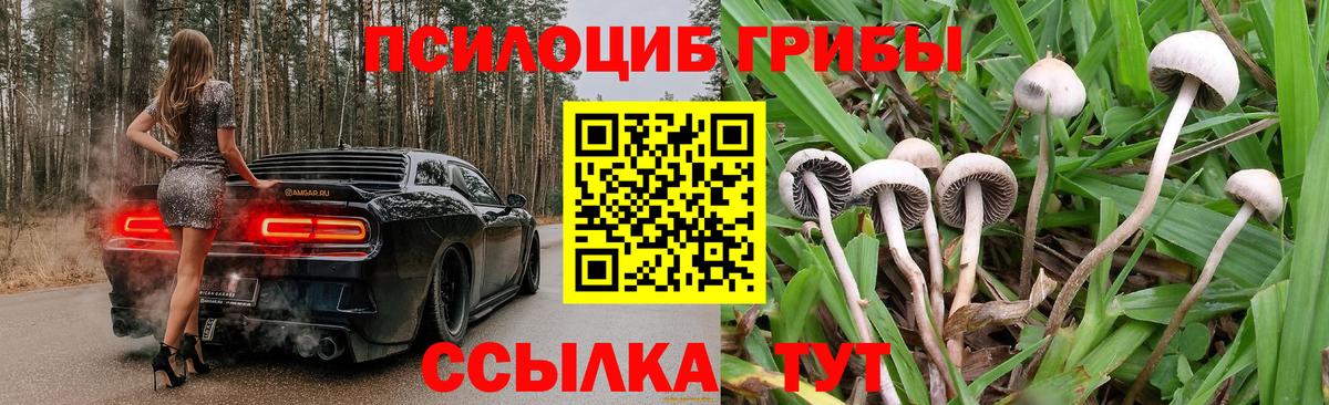 Волгодонск  Галлюциногенные грибы Psilocybe  Вход с VPN 