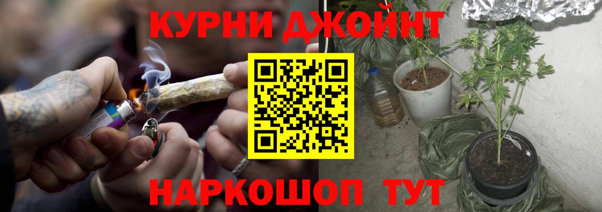 Бошки Шишки ГИДРОПОН  Шишки марихуана VHQ  Бошки марихуана MAZAR  Волгодонск  Канабис план  Вход с VPN 
